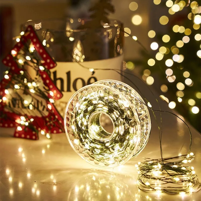 5M/10M/20M Led Koperdraad Lich - Outdoor Lighting Ideas For Party recensie en prijs
